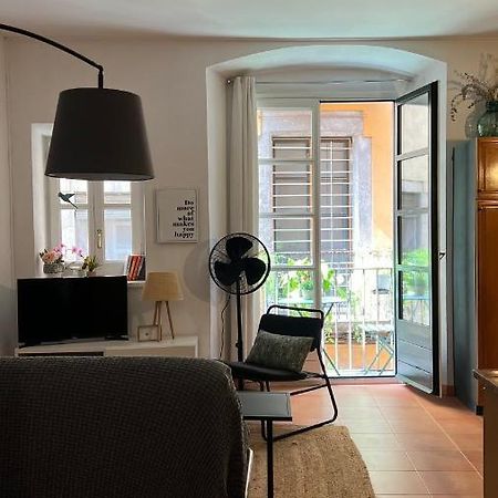 Апартаменты Apartamento Con Encanto Y Terraza En Barri Vell De Girona, El Cul De La Lleona Экстерьер фото