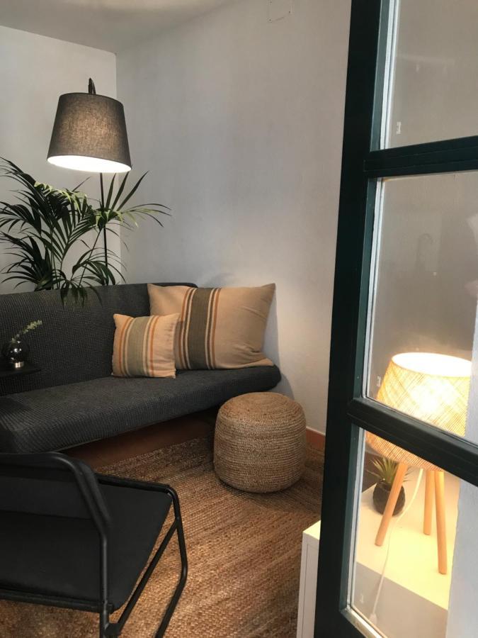 Апартаменты Apartamento Con Encanto Y Terraza En Barri Vell De Girona, El Cul De La Lleona Экстерьер фото