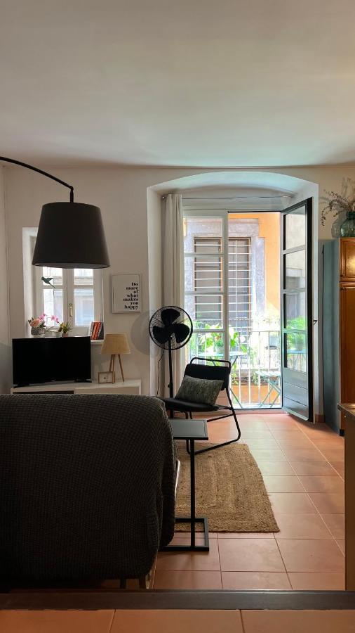 Апартаменты Apartamento Con Encanto Y Terraza En Barri Vell De Girona, El Cul De La Lleona Экстерьер фото